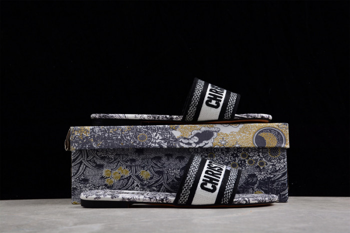 D*or  slides  ds-001