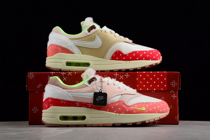 nike air max 1 prm "best friend" dr2553-111