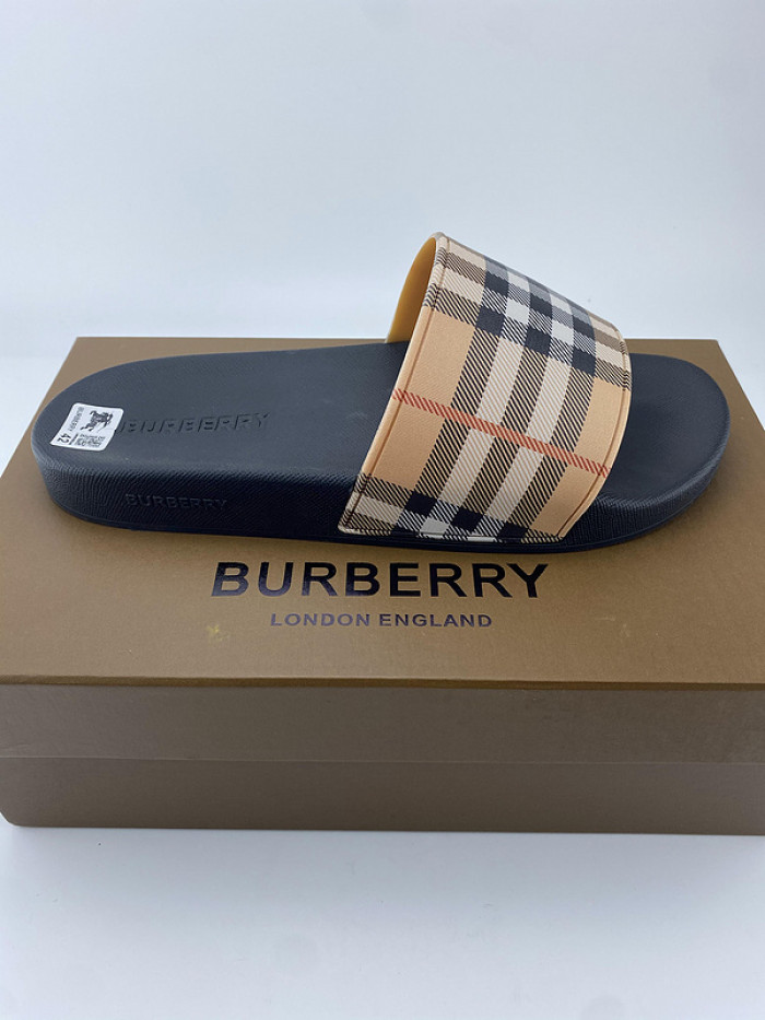 bur slide  burl-004