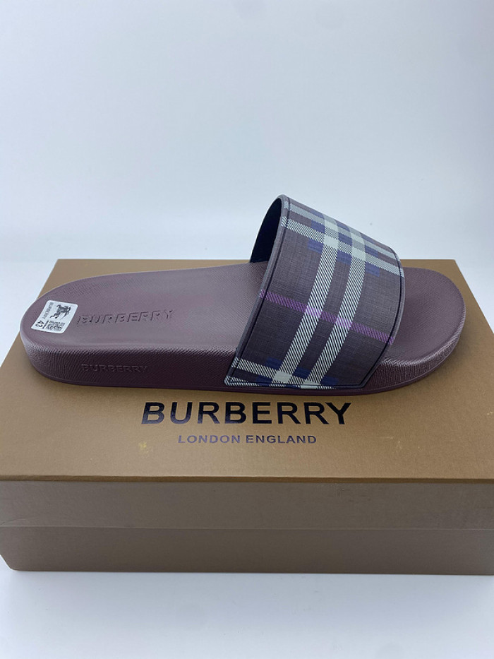 bur slide  burl-002