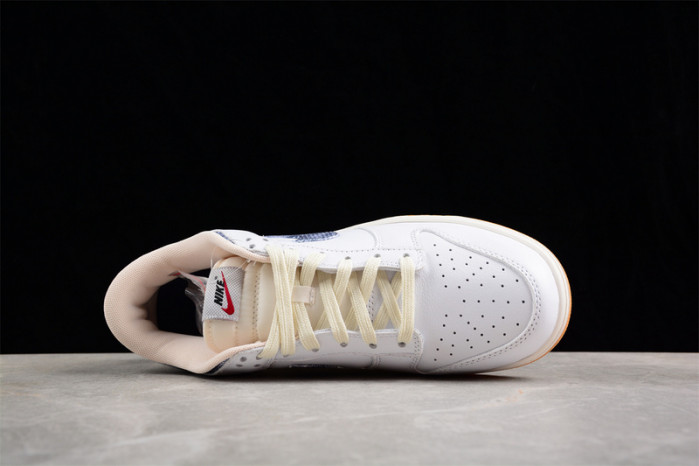 nk dunk low fn6881-100