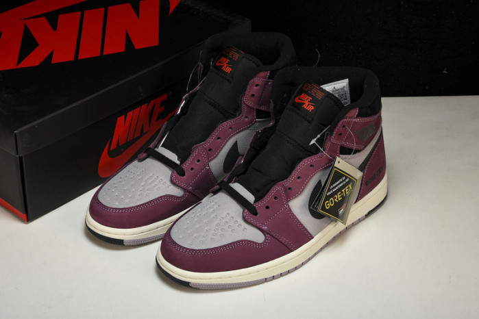 air jordan 1 high element gore-tex